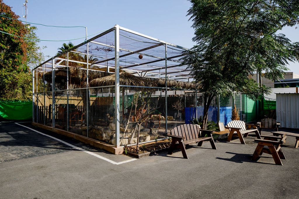 גינון טיפולי במעון גן עדן רמלה